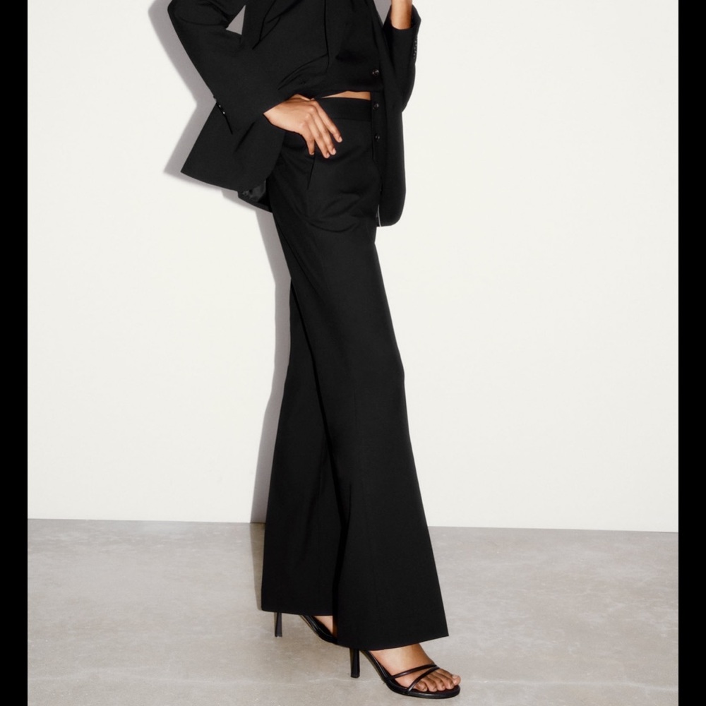 Zara pants